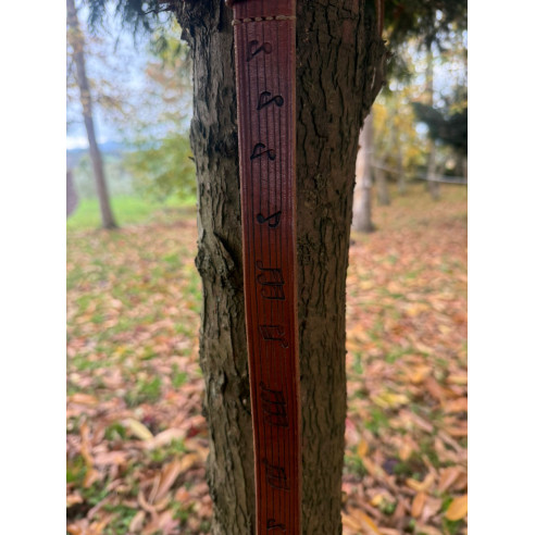 Cinturones troquelados con diseño